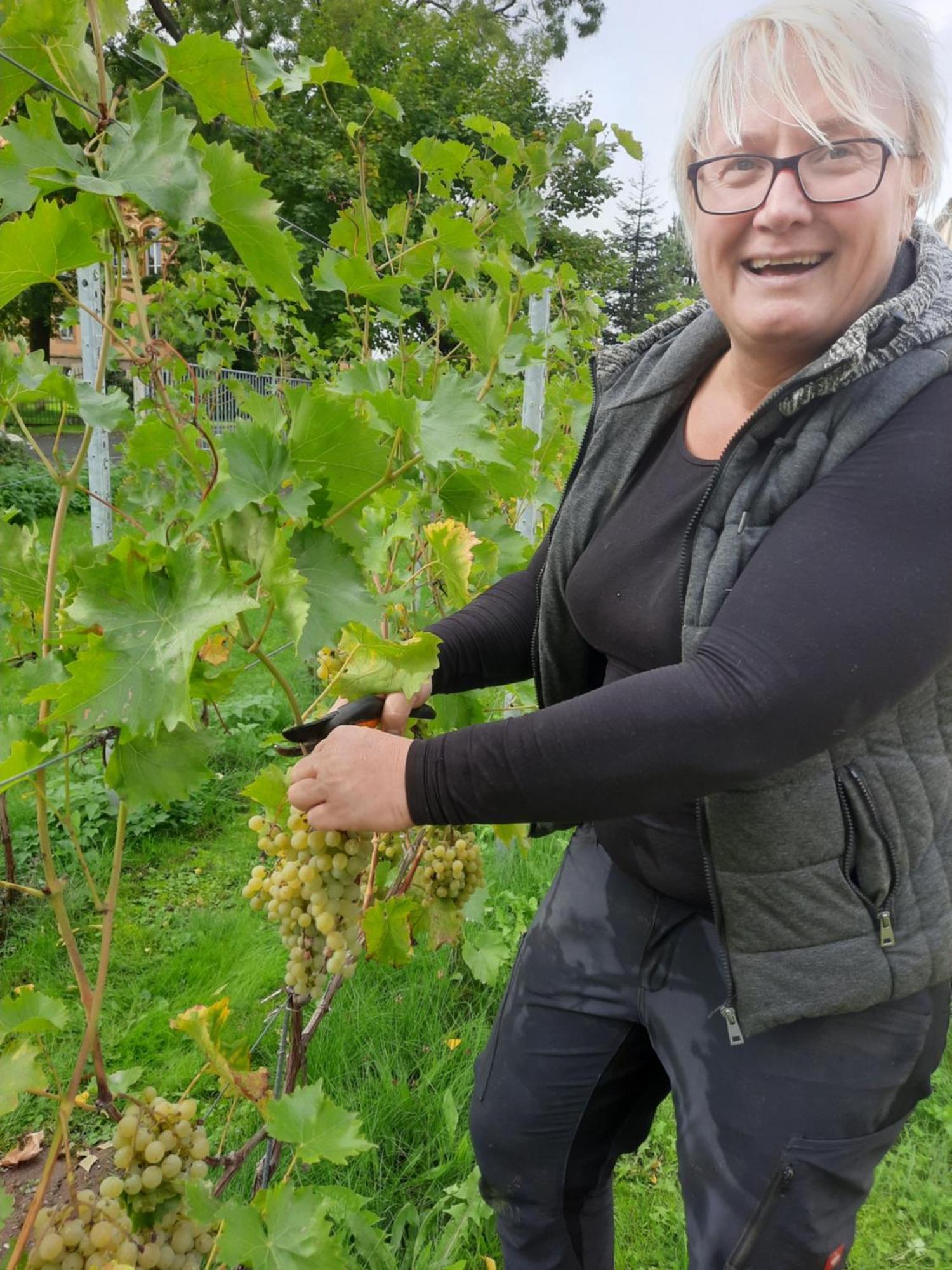 Ferienwohnung Weingut Lahmer August Kretzschau Esterno foto